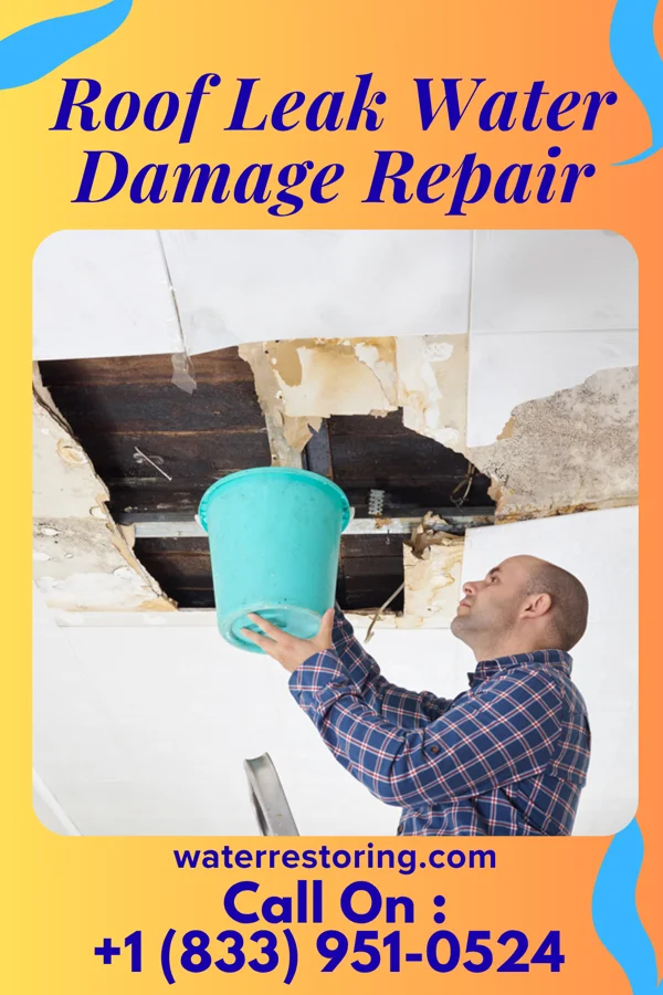 Roof Leak Water Damage Repair in Powhattan, KS
